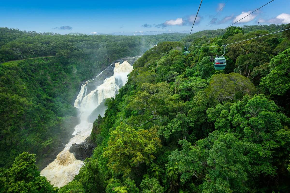 A lush rainforest with a waterfall in the background and a cable car traversing over the trees.