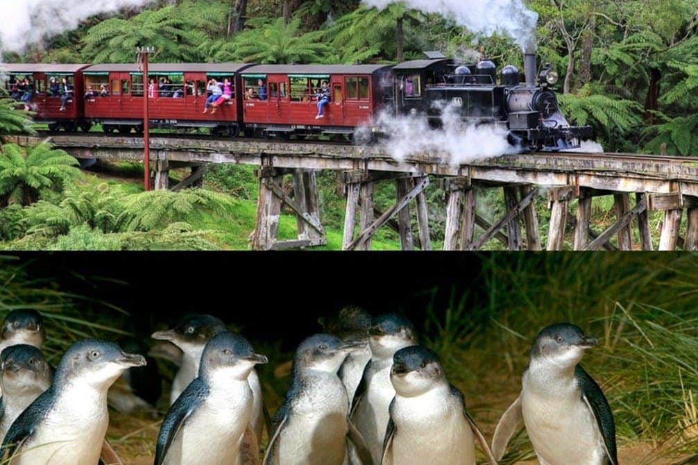 Puffing Billy y Desfile de Pingüinos