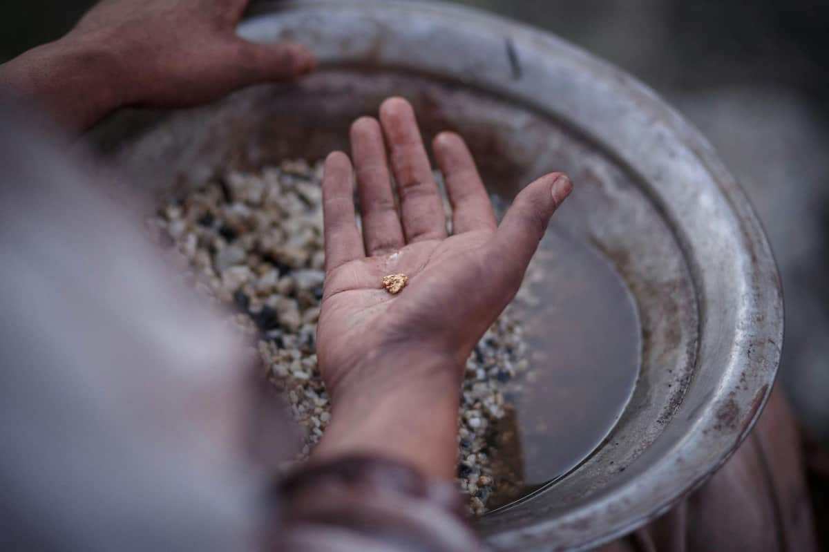 Eine Hand, die ein kleines Goldnugget über einer mit Kies und Wasser gefüllten Pfanne hält, deutet auf Goldwaschaktivitäten hin.