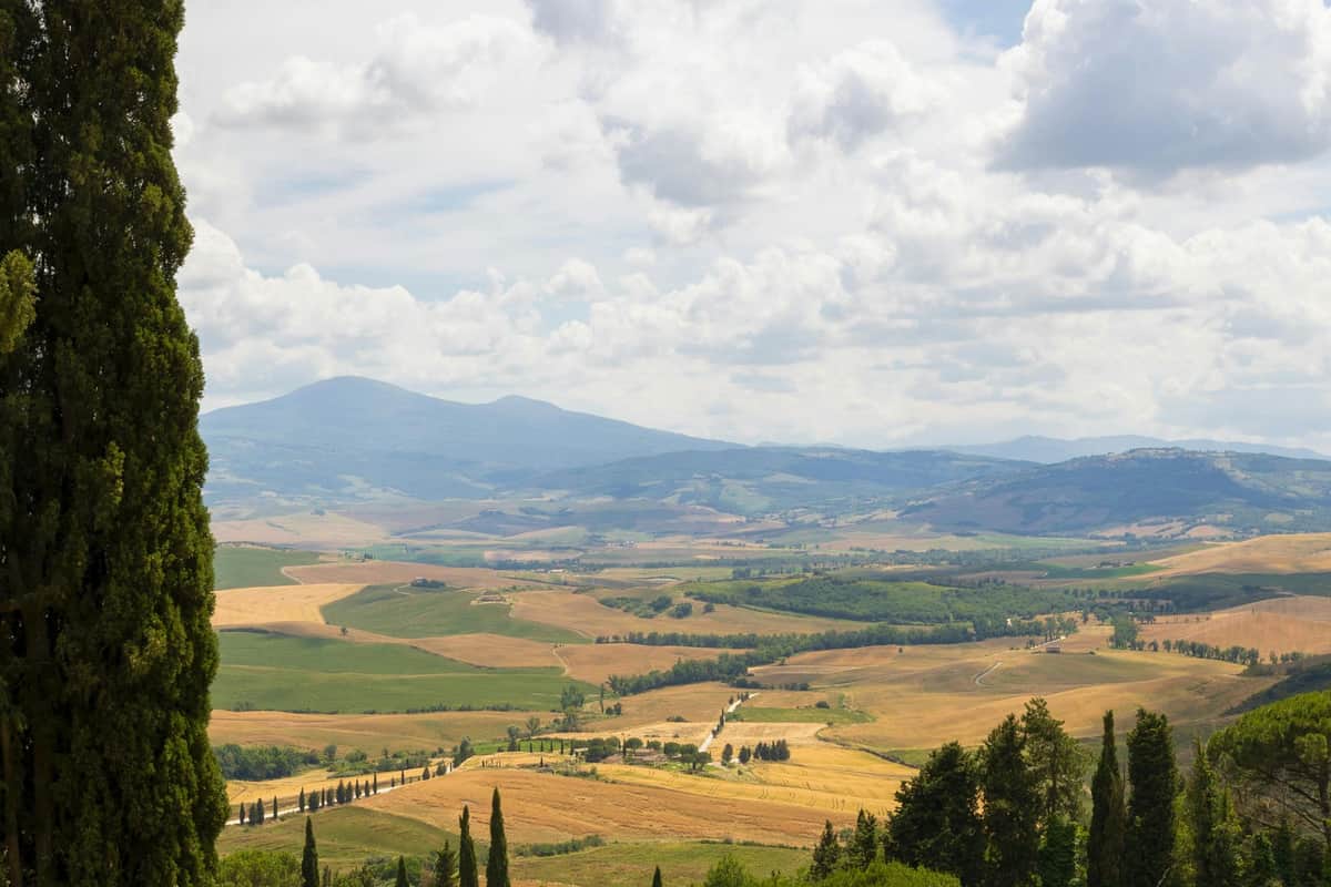 Pienza, Montalcino et Monteriggioni : Transfert en bus depuis Florence Monteriggioni et Val d'Orcia.