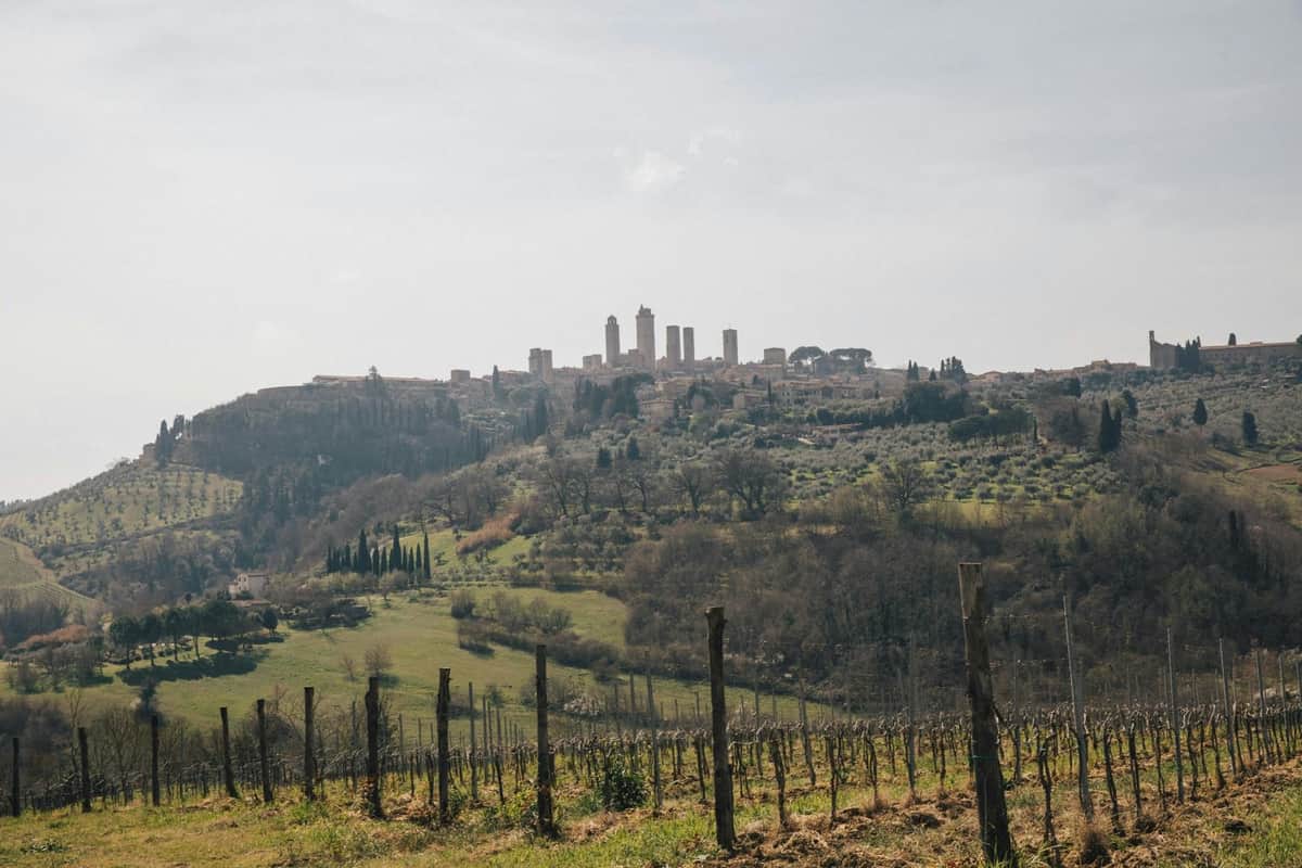 Pisa, Siena, San Gimignano & Chianti: Full-Day Tour from Florence Tuscany Experience Transfer Only