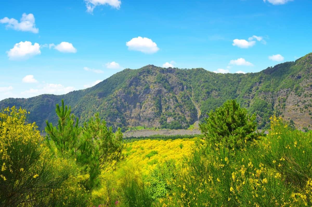 Vesuv und Pompeji: Skip The Line Tickets + Hin- und Rückfahrt von Salerno Vesuv Natur