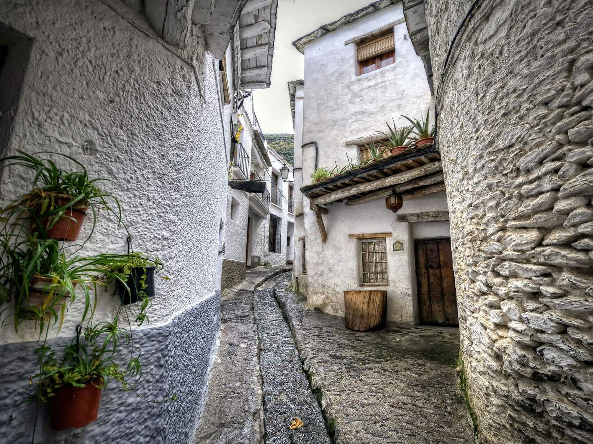 Alpujarra : visite guidée depuis Grenade Ruelle pavée étroite bordée de bâtiments blanchis à la chaux, de plantes en pot et d'une porte en bois sous un balcon rustique.