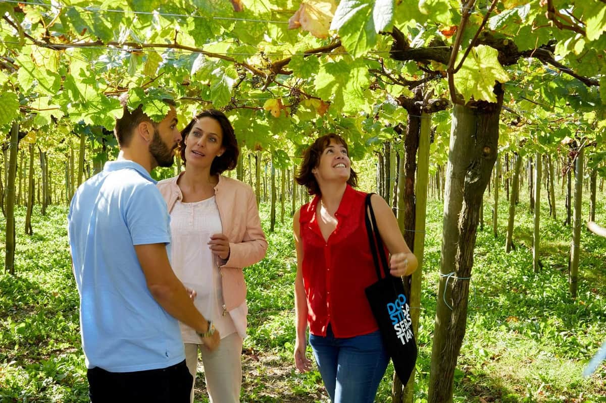 Three people stand under grapevines, engaged in conversation. They are surrounded by lush greenery and sunlight filtering through the leaves.