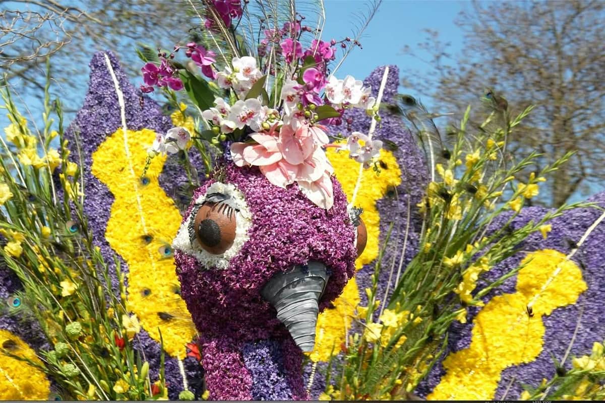 Flower Parade: Half-Day Tour from Amsterdam (Amsterdam) Close-up of a colorful bird-shaped float made of flowers, with exaggerated eyes and a flower crown, set against a blue sky.