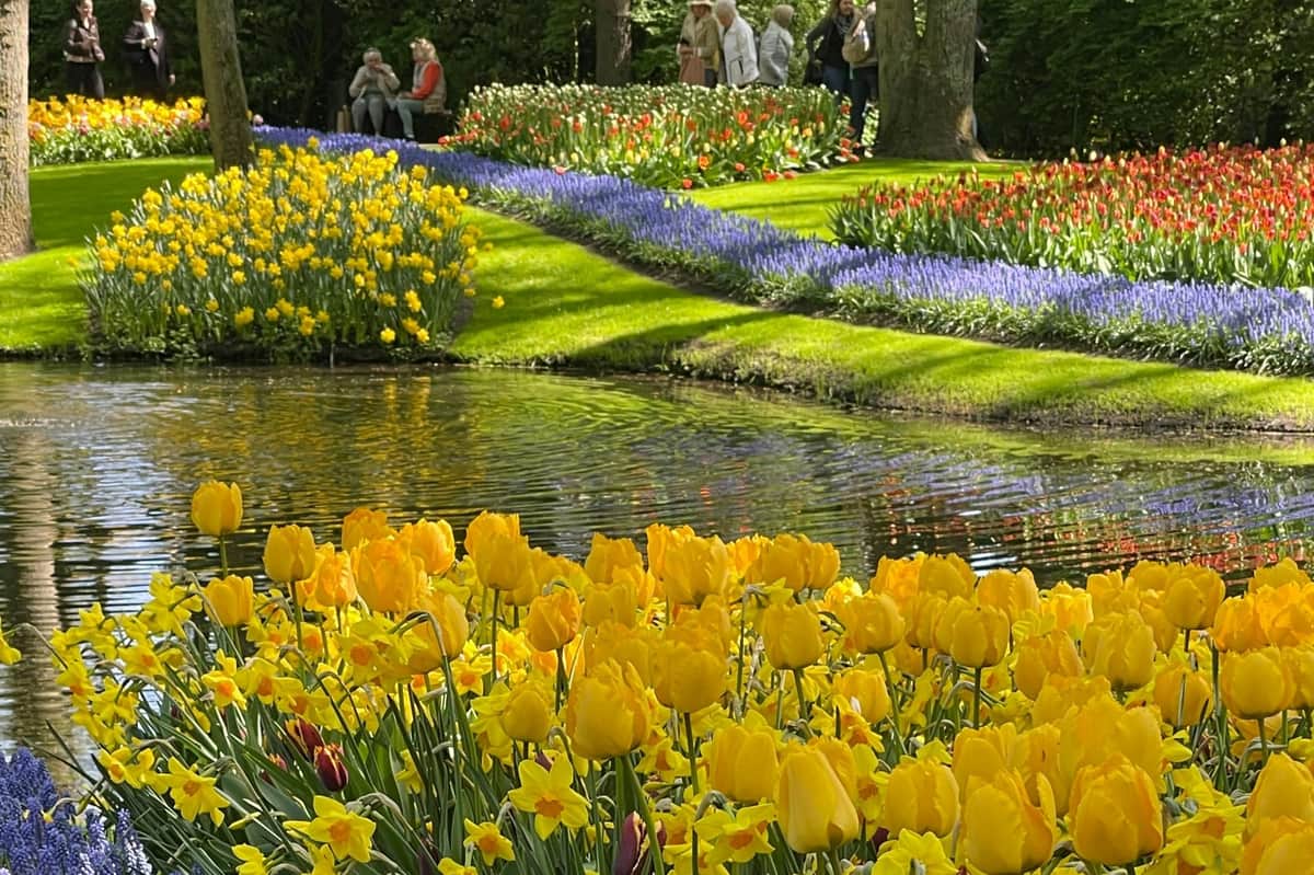 黄色いチューリップ、池、カラフルな花壇を背景にした庭園。 人々は歩いたり、近くに座ったりしています。