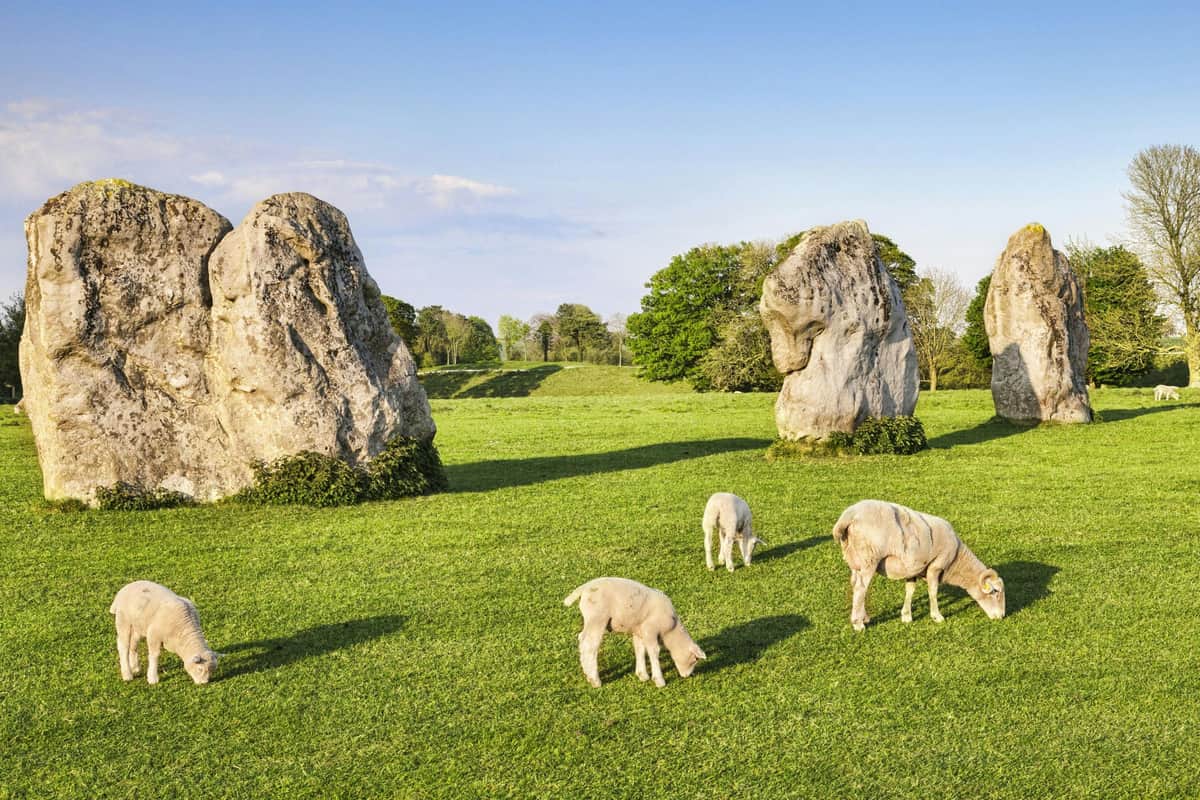 Sheep grazing on a grassy field with large standing stones in the background under a blue sky.