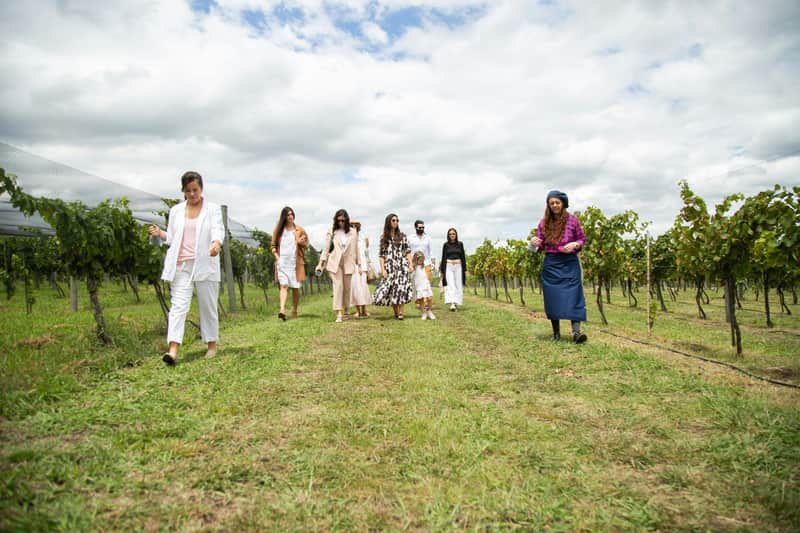 Bodega Gamboa: Guided Winery Tour from Buenos Aires + 5-Course Lunch A group of people walking through a vineyard on a grassy path under a partly cloudy sky.
