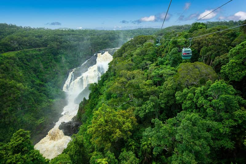 A lush rainforest with a waterfall in the background and a cable car traversing over the trees.