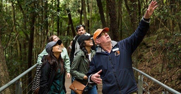 Montagnes bleues : Circuit tout compris au départ de Sydney avec le zoo de Sydney et Scenic World