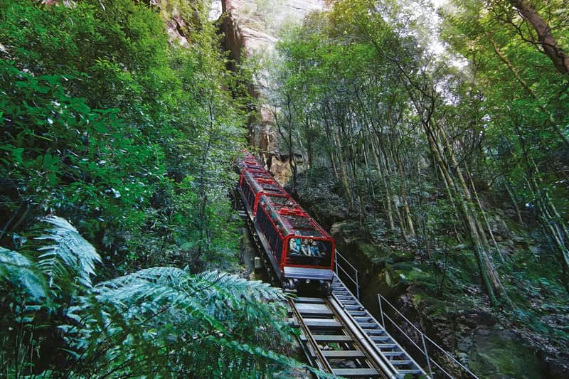 One of the thrilling rides at Scenic World