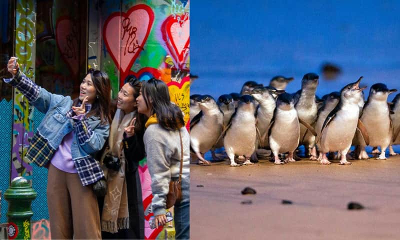 3人の女性がカラフルな落書きの前で自撮りをしています。右側のビーチにはペンギンが立っています。
