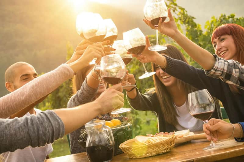 Valle del Yarra y Cordillera de Dandenong: Excursión de un día desde Melbourne + Almuerzo