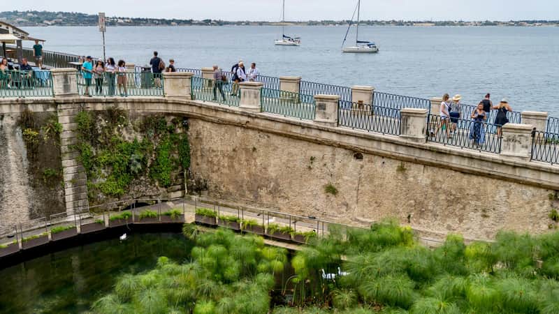 People walk along a stone promenade overlooking a body of water with sailboats. In the foreground, green plants surround a pond.