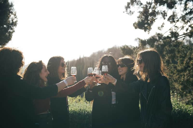 Chianti: Guided Wine Tour from Florence + Tasting Chianti