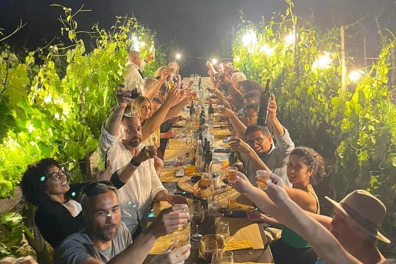 Chianti-Gebiet: Tagesausflug von Florenz + Abendessen auf dem Weingut