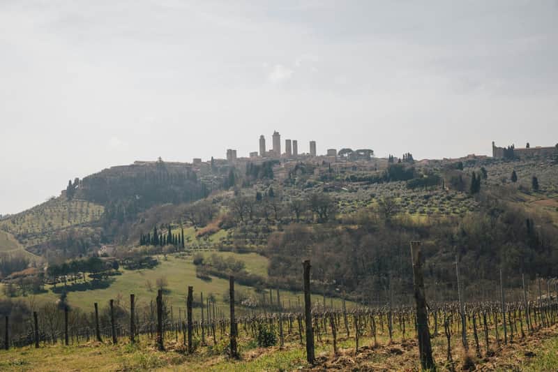 Pisa, Siena, San Gimignano & Chianti: Full-Day Tour from Florence