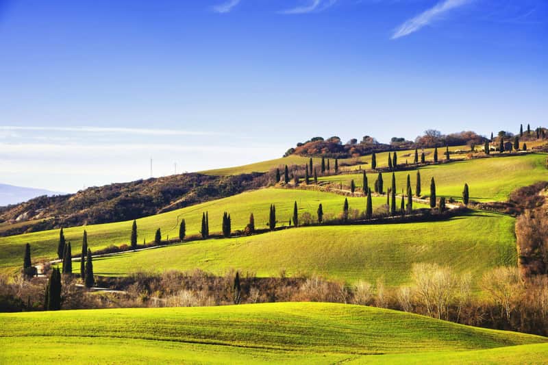 Val D'Orcia, Montepulciano & Pienza: Day Trip from Florence Orcia Valley