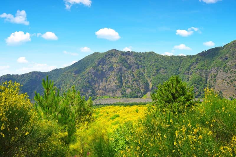 Vesuv und Pompeji: Skip The Line Tickets + Hin- und Rückfahrt von Salerno