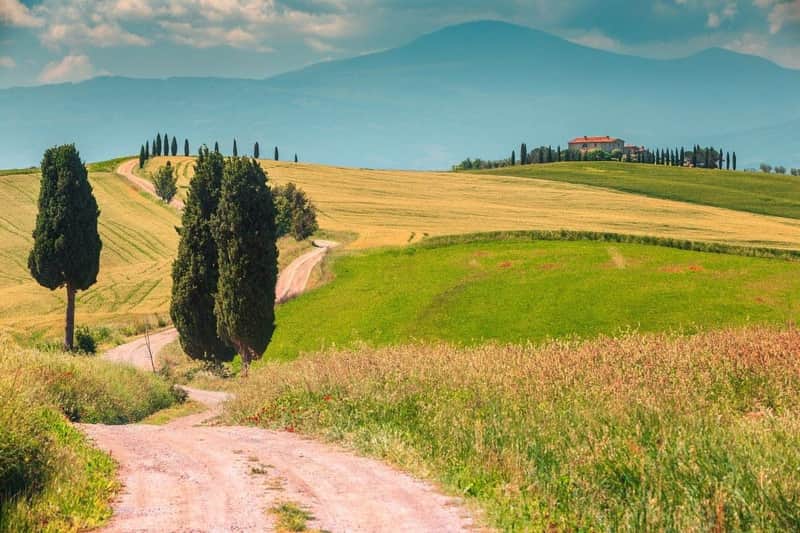 Chianti & Schloss Tour