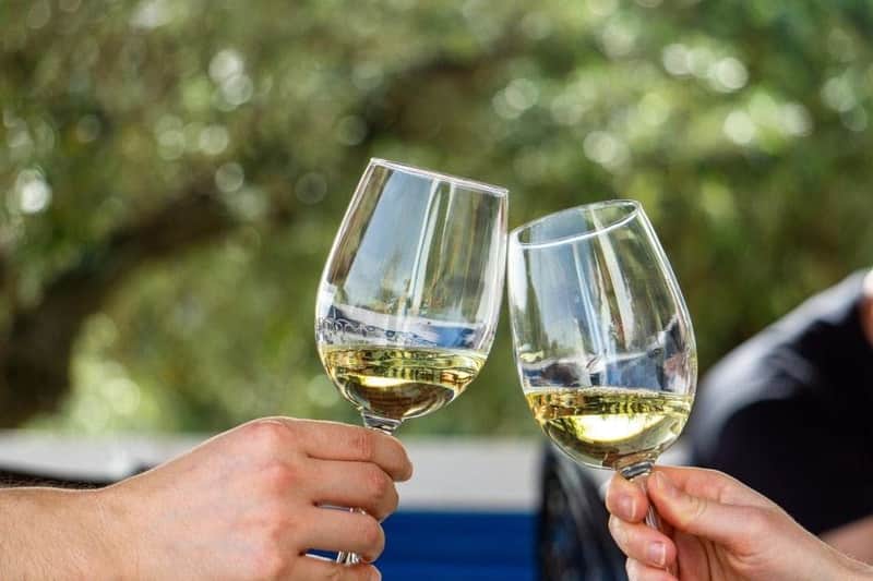 Algarve: Geführte Wein Tour in kleiner Gruppe + Erkundung von Silves