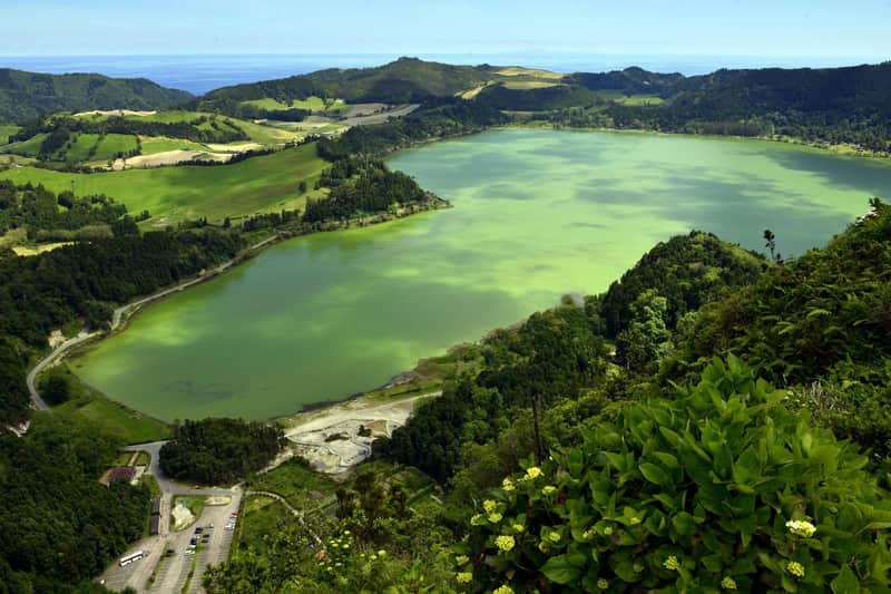 Furnas: Geführte Tour durch Teeplantagen, See und Vulkan