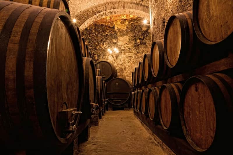 Porto : Visite guidée à pied + déjeuner + dégustation de vin + promenade en bateau