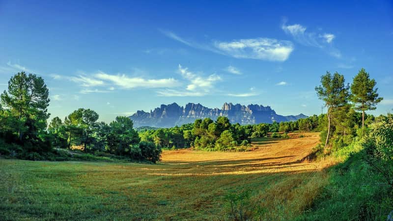 A sunlit, grassy field with scattered trees, distant jagged mountains, and a clear blue sky with wispy clouds.