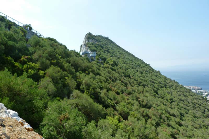 From Málaga: Day Trip to Gibraltar Gibraltar