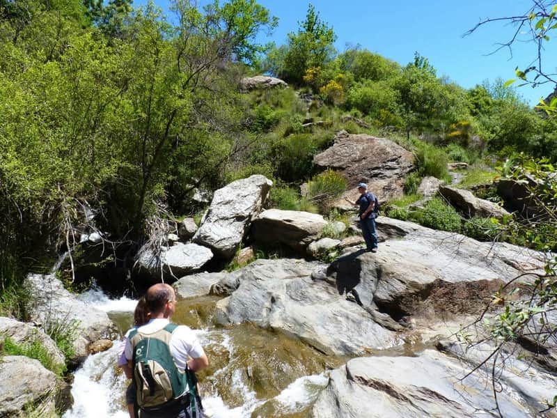 Sierra Nevada: Geführte Tour ab Granada