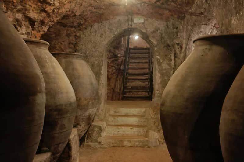 Alcalá de Henares: Geführte Tour durch Stadt und Weinkeller ab Madrid + Weinprobe
