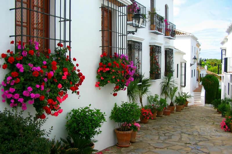 Típica calle andaluza de Mijas con casas blancas y macetas