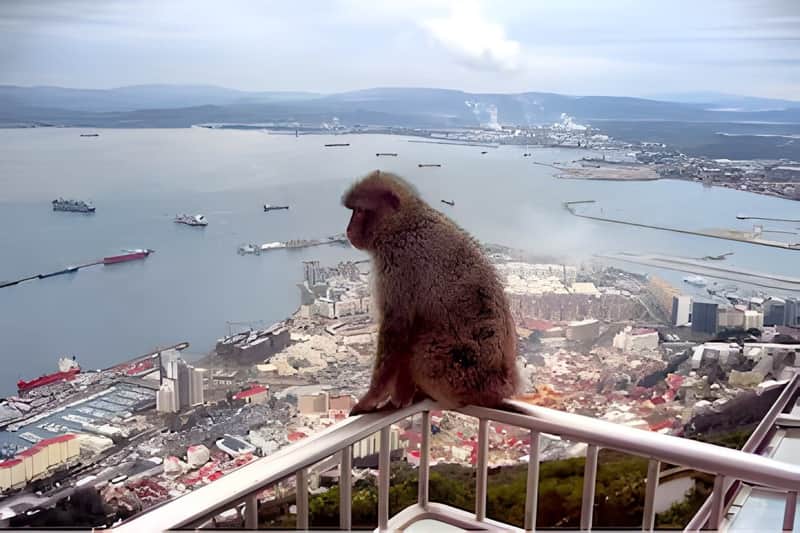 Gibraltar: Visita turística desde Sevilla