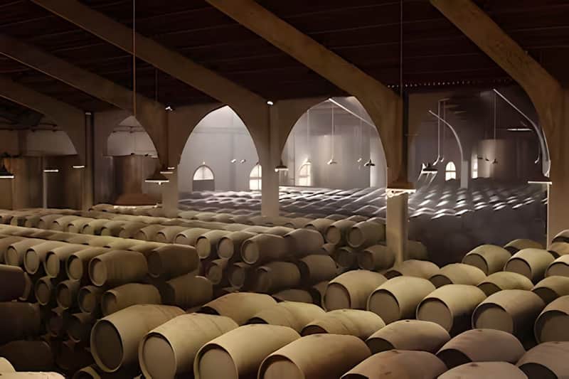 Jerez y Cádiz: Excursión de un día desde Sevilla + Cata de vinos + Espectáculo ecuestre