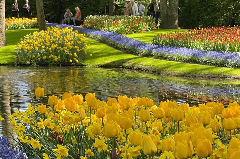 黄色いチューリップ、池、カラフルな花壇を背景にした庭園。 人々は歩いたり、近くに座ったりしています。