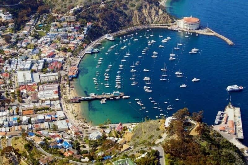 Catalina Island Tagesausflug mit Discover Avalon Scenic Driving Tour