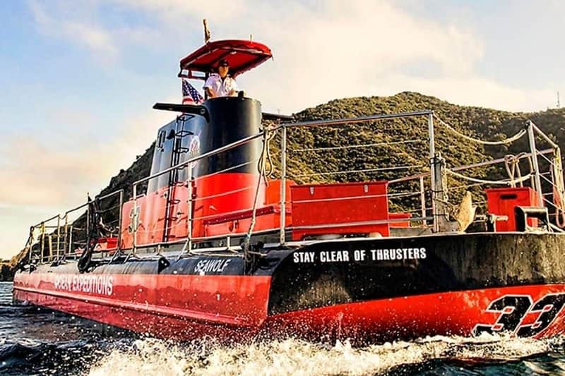 Catalina Island with Undersea Sub Adventure