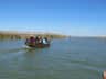 Albufera Bus e Barca da Valencia (València) Un gruppo di persone viaggia a bordo di un piccolo motoscafo su un lago calmo con sponde piene di canne, sotto un cielo azzurro e limpido.